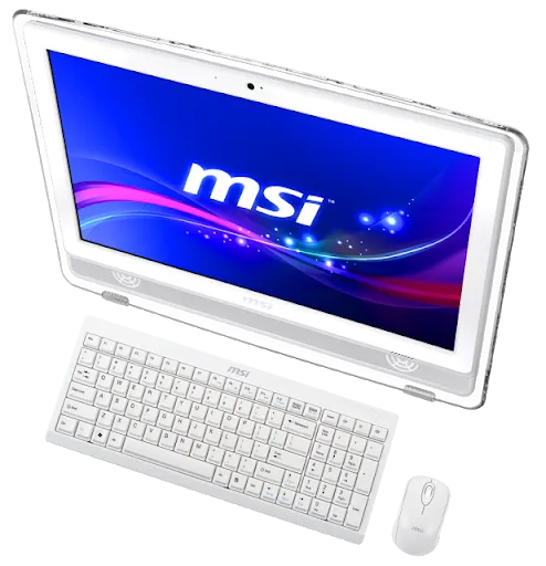 MSI
